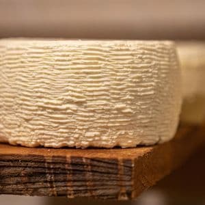 A close-up of a wheel of cheese with a textured rind resting on a thick, rustic wooden shelf.