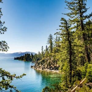 A clear blue lake is framed by pine trees, with a forested shoreline and snow-capped mountains in the distance under a clear sky.