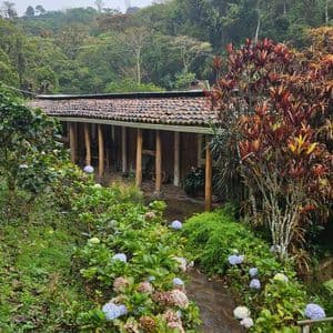 Ein Steinweg, gesäumt von farbenfrohen Hortensienbüschen, führt zu einem rustikalen Gebäude mit Ziegeldach, das vor der Kulisse eines üppigen Waldes liegt.