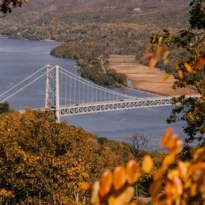 An aerial view of a white suspension bridge over a river, framed by trees with orange and yellow autumn leaves.