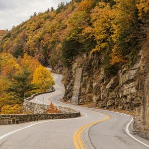 A winding asphalt road curves through a rocky hillside covered in trees with yellow and orange autumn foliage.