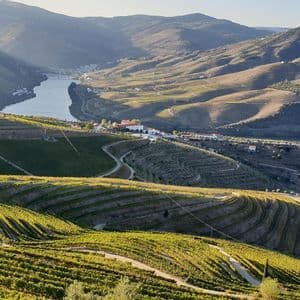 Vigneti a terrazze su dolci colline si affacciano su un ampio fiume che serpeggia in una valle sotto un cielo soleggiato.