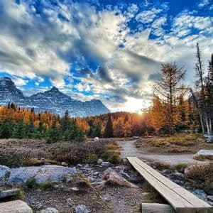 A trail with a wooden bridge leads through a forest of golden autumn trees towards snow-capped mountains under a cloudy sky.
