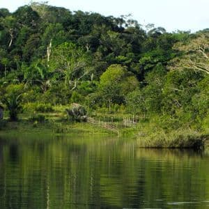 Eine kleine Hütte mit rotem Dach steht am Ufer eines ruhigen Flusses vor einem dichten grünen Wald, mit Spiegelungen im Wasser.