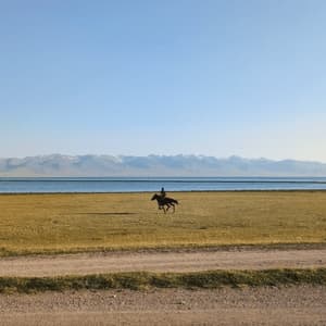 Eine Person galoppiert auf einem Pferd über ein grasbewachsenes Feld neben einem See, mit schneebedeckten Bergen in der Ferne.