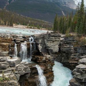 A waterfall cascades through a rocky canyon, with a large, snow-capped mountain rising above an evergreen forest in the background.