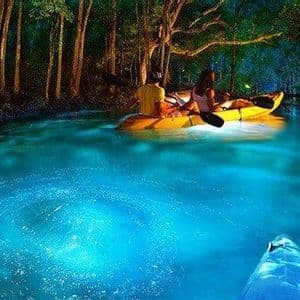 Dos personas en un kayak amarillo reman en un río de noche, con el agua brillando por bioluminiscencia azul.