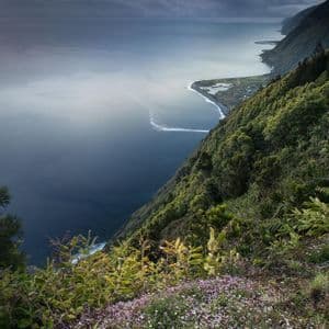 Una vista mozzafiato da una scogliera ricoperta di fiori di campo, che si affaccia su una lussureggiante costa verde che incontra l'oceano sotto un cielo nuvoloso.