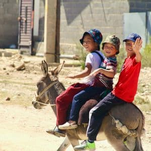 Trois garçons souriants chevauchent ensemble à dos d'âne sur un chemin de terre, l'un d'eux faisant signe à la caméra.