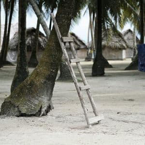 A rustic wooden ladder rests against a palm tree trunk on white sand, with a village of thatched huts in the background.