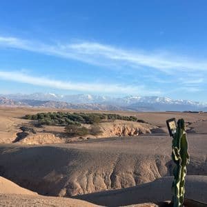 A smartphone is perched on a cactus, overlooking a vast desert landscape with snow-capped mountains in the distance under a blue sky.