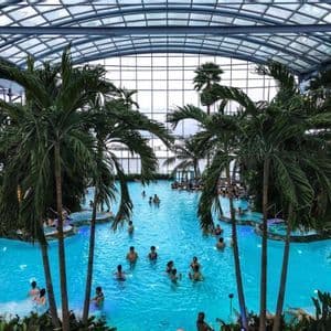 Una veduta sopraelevata di persone che si godono una grande piscina interna in stile tropicale con palme sotto una cupola di vetro.