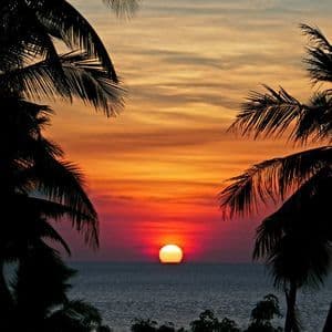 Il sole tramonta sull'oceano, incorniciato dalle silhouette delle palme contro un cielo dai colori arancio e rosso.
