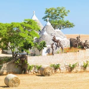 I trulli tradizionali con tetti conici in pietra si ergono su un pendio terrazzato, accanto a un campo con balle di fieno rotonde.