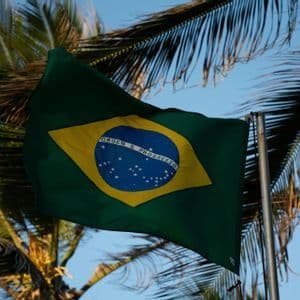 Eine brasilianische Flagge weht an einem Fahnenmast vor Palmenwedeln und klarem blauem Himmel.