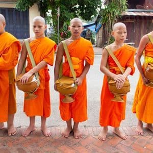 Eine Reihe junger buddhistischer Mönche in orangefarbenen Roben steht barfuß auf einer Ziegelstraße, jeder mit einer Almosenschale.