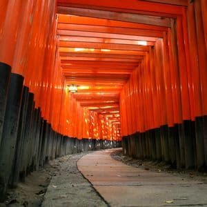 Una prospettiva dal basso di un sentiero in pietra tortuoso che si snoda attraverso un tunnel di numerosi torii arancioni e neri.