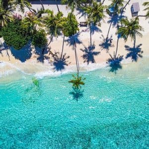 Vista aerea di una spiaggia tropicale con sabbia bianca, palme che proiettano ombre e acqua cristallina turchese lungo la riva.