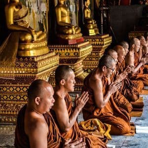 Eine Reihe buddhistischer Mönche in orangefarbenen Roben kniet betend in einem Tempel, mit goldenen Buddha-Statuen im Hintergrund.
