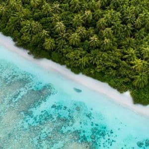 Una veduta aerea dall'alto di una costa tropicale con una spiaggia di sabbia bianca, acqua cristallina turchese e una fitta foresta di palme verdi.