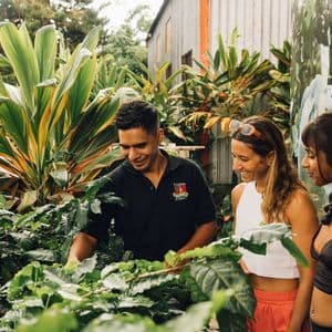 Una guida locale mostra a due donne, in un viaggio di gruppo WeRoad, le foglie delle piante di caffè in un lussureggiante giardino verde.