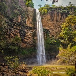Una cascata alta e stretta si riversa da una scogliera rocciosa e ricoperta di vegetazione in un fiume torbido, incorniciata da rami d'albero.