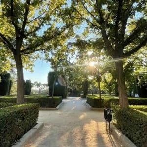 Un sentiero soleggiato si snoda attraverso un giardino formale con siepi curate e alberi alti e frondosi.
