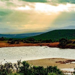 Elephants stand at a watering hole in a hilly savanna landscape with sunbeams breaking through the clouds.