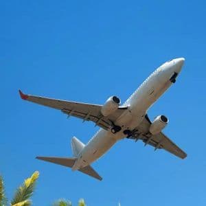 Un aereo passeggeri bianco sorvola rigogliose palme verdi sotto un cielo azzurro e limpido.