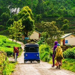 Un tuk-tuk blu e persone su una strada sterrata che si snoda attraverso rigogliose piantagioni di tè verdi su un fianco di collina terrazzato.