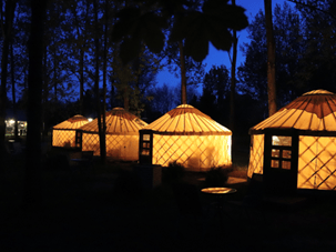 Una fila di quattro yurte illuminate dall'interno al tramonto, con uno sfondo di alberi in silhouette.