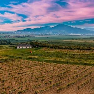 Una veduta aerea di un vigneto con una piccola casa bianca in una valle, con montagne sullo sfondo sotto un cielo rosa e azzurro.