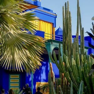 A vibrant blue building with yellow accents is framed by tall cacti and lush palm fronds under a clear sky.