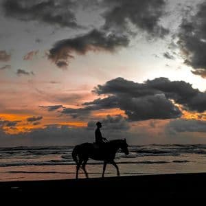 Silueta de caballo y jinete en la playa al atardecer nublado.