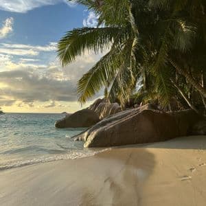 Una spiaggia sabbiosa con grandi rocce e palme a strapiombo accanto all'acqua turchese dell'oceano sotto un cielo nuvoloso.