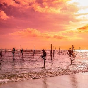 Un grupo de pescadores encaramados en zancos en el océano poco profundo, sosteniendo cañas de pescar bajo un vibrante atardecer rosa y naranja.