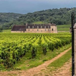 Ein Blick durch verzierte Steintorpfeiler eines Weinbergs, der zu einem fernen Schloss am Fuße grüner Hügel führt.