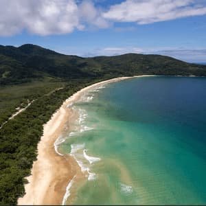 An aerial view of a long, sandy beach curving along a coastline bordered by a lush green forest, with turquoise water under a blue sky.