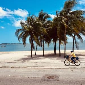 A person in a yellow shirt rides a bicycle on a road beside a sandy beach with tall palm trees under a blue sky.