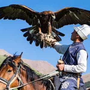 Un uomo in abiti tradizionali siede su un cavallo, tenendo un'aquila reale con le ali spiegate sul braccio guantato.