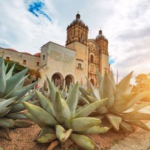 Grandes plantas de agave en primer plano de una iglesia histórica de piedra con dos campanarios ornamentados al atardecer.
