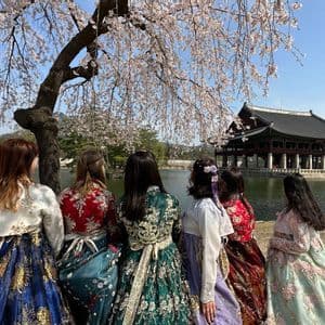 Un voyage de groupe WeRoad de femmes en robes hanbok colorées contemple un lac vers un pavillon traditionnel sous les cerisiers en fleurs.