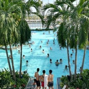 A high-angle view of many people swimming in a large indoor pool surrounded by tall, green palm trees and tropical plants.
