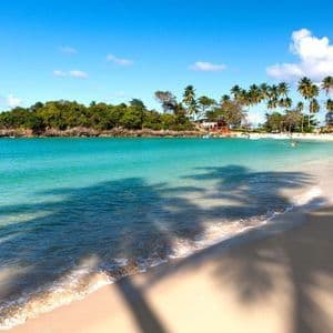 Las sombras de las palmeras caen sobre una playa de arena blanca junto a aguas turquesas, con una exuberante península verde al fondo bajo un cielo azul.