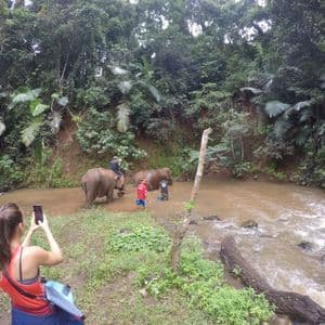 A woman from a WeRoad group trip photographs people bathing with two elephants in a river surrounded by a lush jungle.