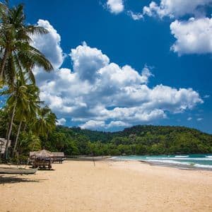 Tall palm trees line a sandy beach with small huts, a boat, and turquoise water under a partly cloudy sky.