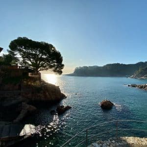 Un grande pino si staglia contro il sole al tramonto su una scogliera rocciosa che domina una tranquilla baia costiera.