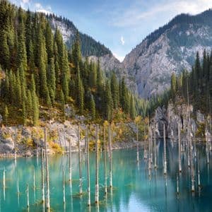 Bare tree trunks emerge from calm, turquoise water, surrounded by steep mountains covered in dense pine forests.