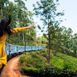 Una persona con un vestido amarillo se asoma por la ventana de un tren azul mientras este atraviesa exuberantes plantaciones de té verde.