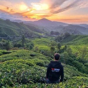 Un chef de groupe WeRoad en sweat à capuche noir contemple les collines verdoyantes d'une plantation de thé au coucher du soleil.